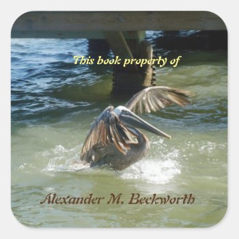 Splashdown Personalized Bookplate by h2oWater at Zazzle