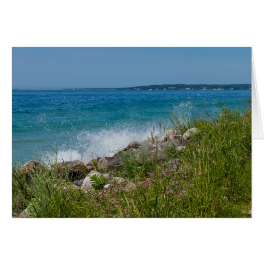 Splashing At Mackinac Cards (Front Horizontal)