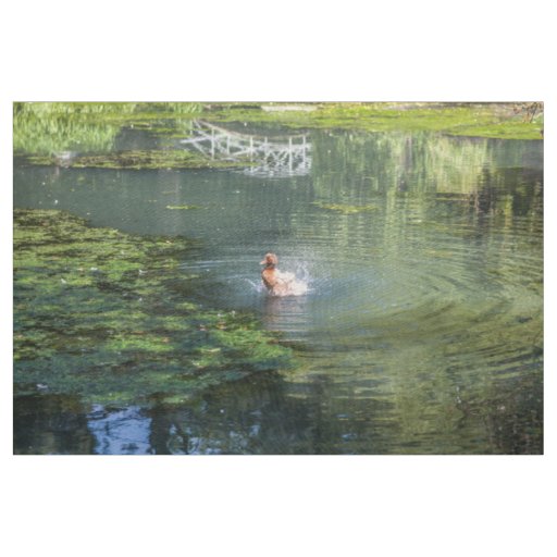 Splashing duck in a pond fabric