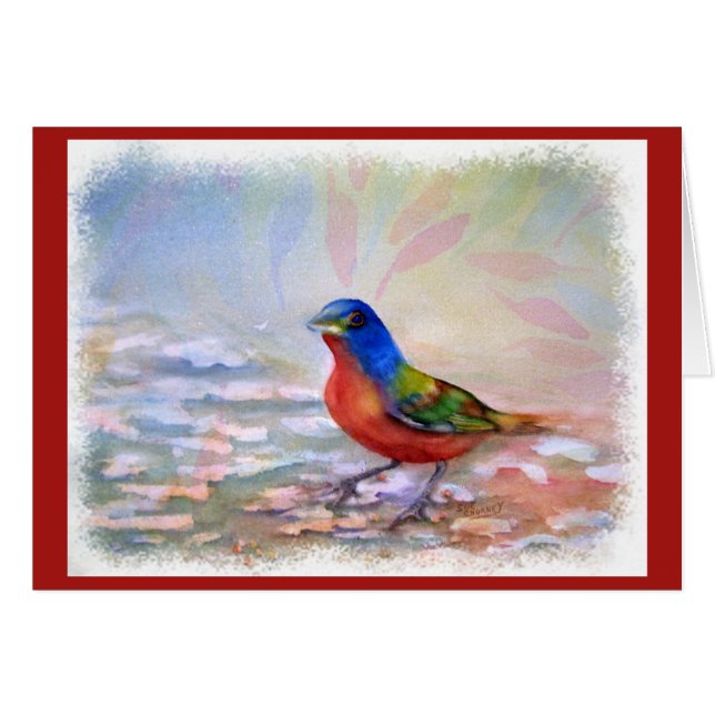 SPLASHING ROBIN RED BREAST CARDS (Front Horizontal)