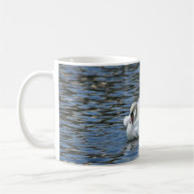 Splashing Swan on Mug