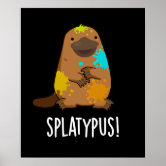 https://rlv.zcache.com/splatypus_funny_animal_platypus_pun_dark_bg_poster-r8f9f645bac3e4c64b14327643fa85dd8_wvy_8byvr_166.jpg