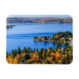 Splendid colors of fall at Bellevue Magnet