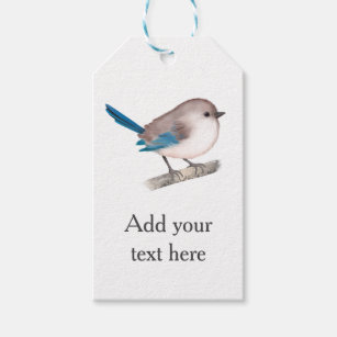 Splendid Fairy Wren Bird on Branch Gift Tags