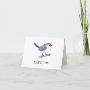 Splendid Fairy Wren Bird on Branch Letterpress Thank You Card