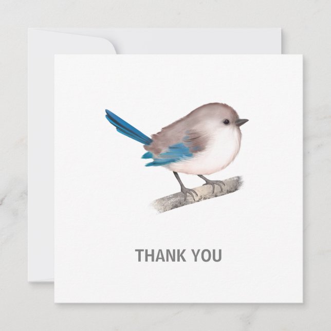 Splendid Fairy Wren Bird on Branch Thank You Card (Front)