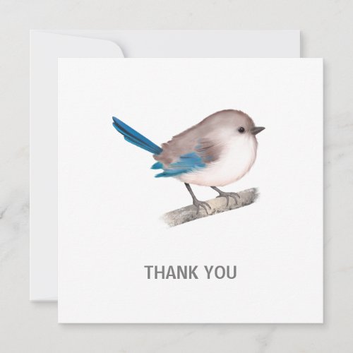Splendid Fairy Wren Bird on Branch Thank You Card