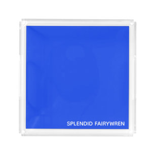 Splendid Fairywren Blue Color Name Acrylic Tray