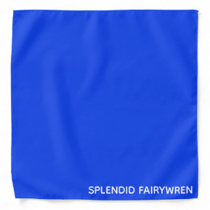 Splendid Fairywren Blue Color Name Bandana