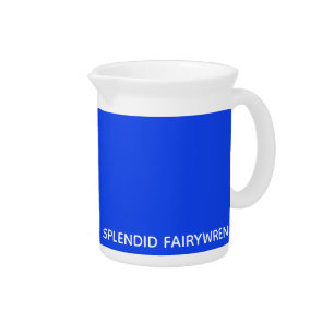 Splendid Fairywren Blue Color Name Beverage Pitcher