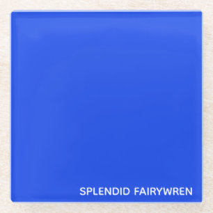 Splendid Fairywren Blue Color Name Glass Coaster