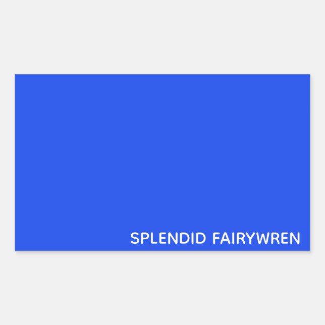 Splendid Fairywren Blue Color Name Rectangular Sticker (Front)