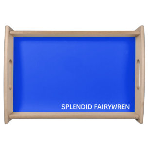 Splendid Fairywren Blue Color Name Serving Tray