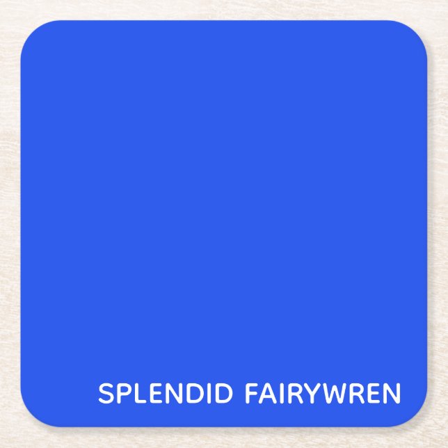 Splendid Fairywren Blue Color Name Square Paper Coaster (Front)