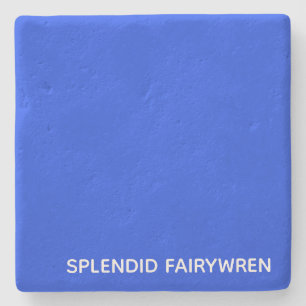 Splendid Fairywren Blue Color Name Stone Coaster