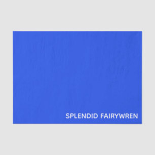 Splendid Fairywren Blue Color Name Tissue Paper