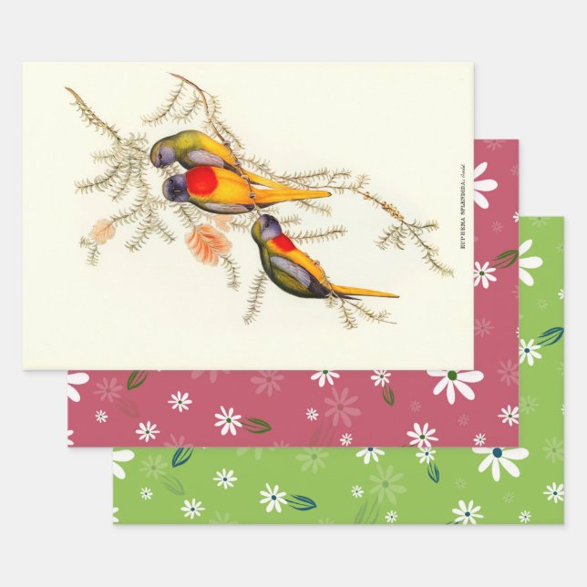 Splendid Grass-Parakeet, Gift  Wrapping Paper Sheets (Set)