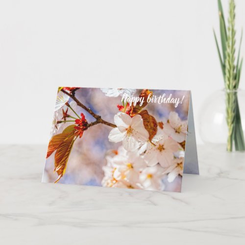 Splendid Sakura Flowers Hanami Season Of Spring Card