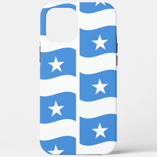 Splendid Somalia Flag Patriotic iPhone / iPad Case (Back)