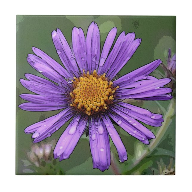 Splendor Ceramic Tile (Front)