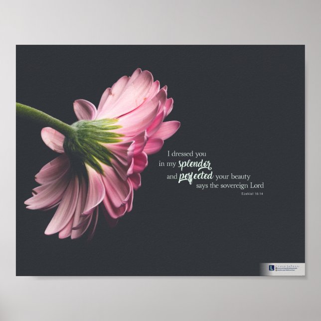 Splendor (Ezekiel 16:14) Poster (Front)