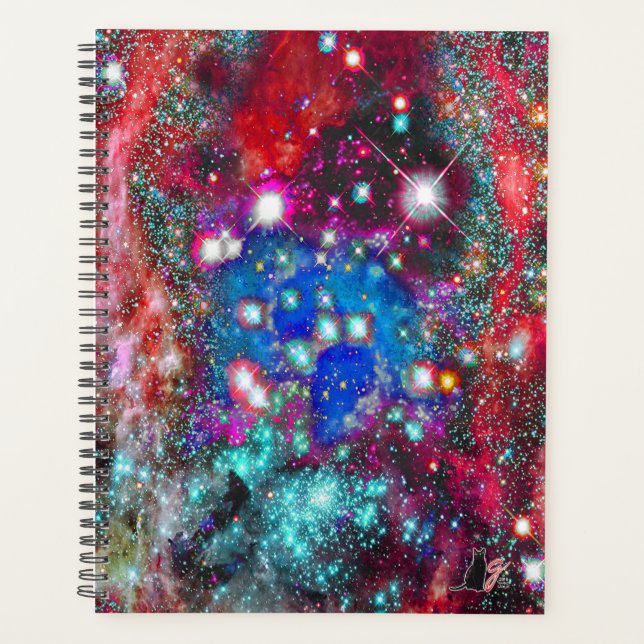 Splendorous Star Field Planner (Front)