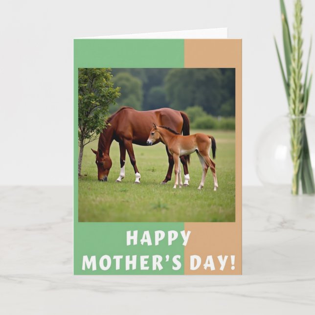 Split Border Equine Card (Front)