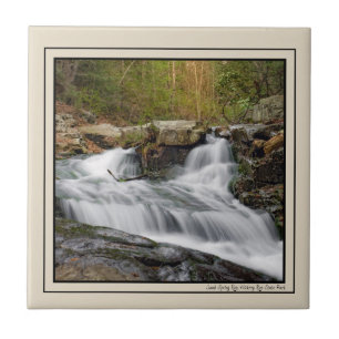 Split Falls on Sand Spring Run Ceramic Tile