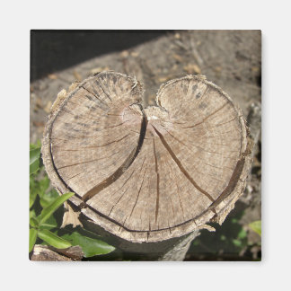 Split Heart Stump Magnets