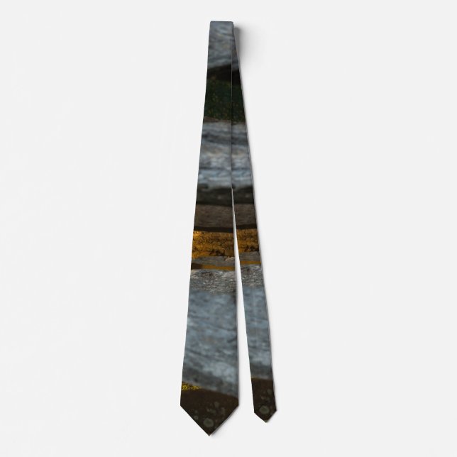 Split Rail Abstract  Neck Tie (Front)