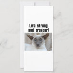 Spock cat: Live strong and prosper! Cards