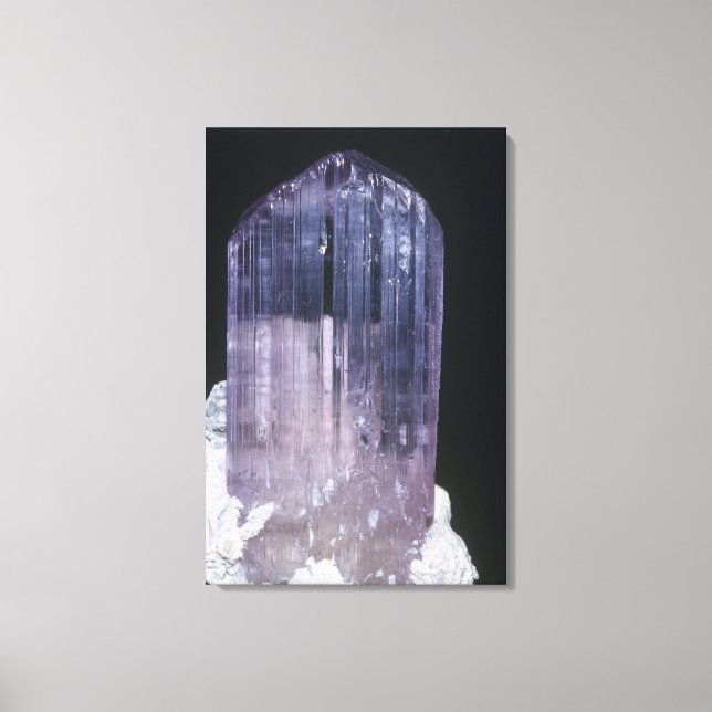 Spodumene Crystal Canvas Print (Front)