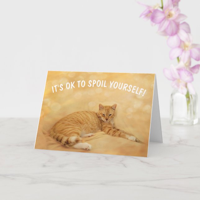 Spoil Yourself Funny Cat Cancer Card (Orchid)