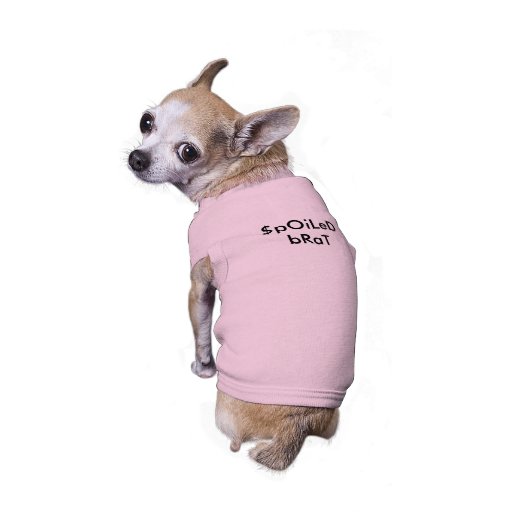 SpOiLeD bRaT Shirt (Back)