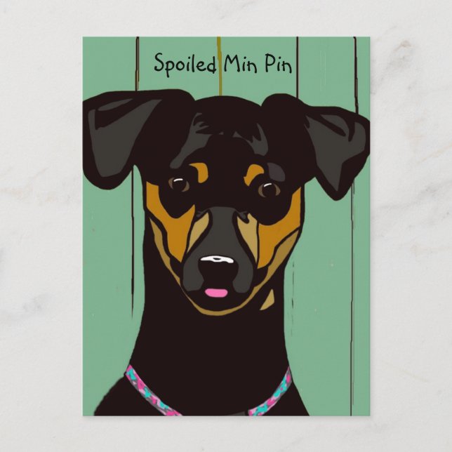 Spoiled Min Pin Postcard (Front)