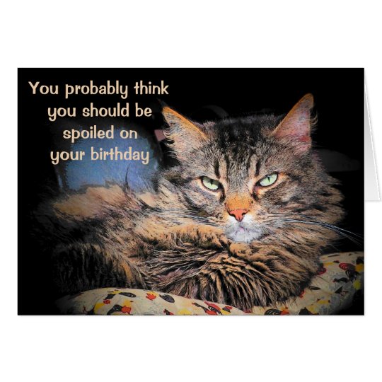 Spoiled On Your Birthday? Think You're A CaT? Card | Zazzle