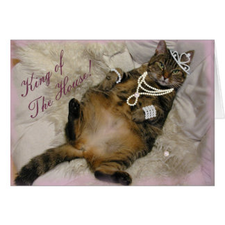 SPOILED PRINCESS CAT LAYING ON BACK CARDS