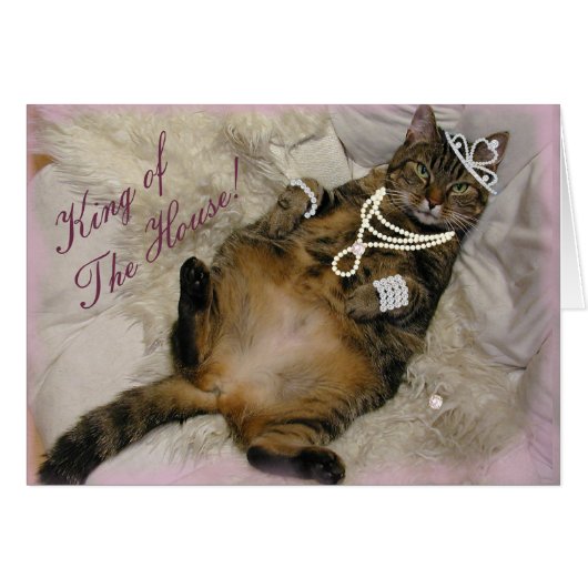 SPOILED PRINCESS CAT LAYING ON BACK CARDS (Front Horizontal)