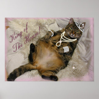 SPOILED PRINCESS CAT LAYING ON BACK POSTER