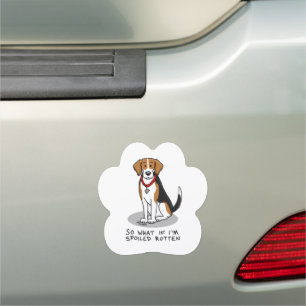 Spoiled Rotten Beagle (tri color 3) Dog Funny Car Magnet