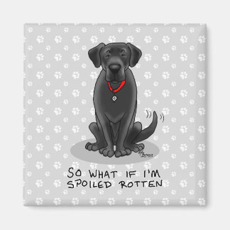 Spoiled Rotten Black Lab Labrador Retriever Dog Magnet