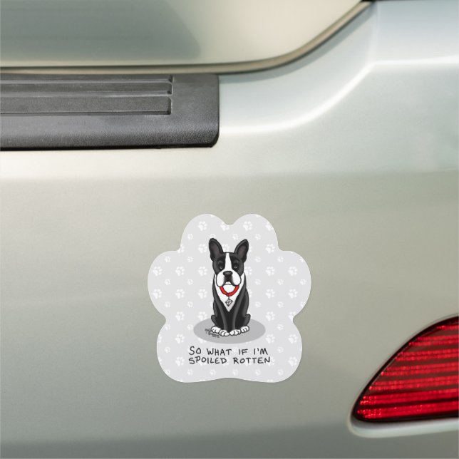 Spoiled Rotten Boston Terrier (black) Cute dog Car Magnet (In Situ)