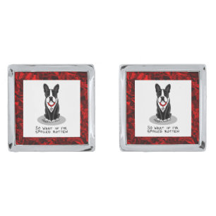 Spoiled Rotten Boston Terrier Dog (black) Cute Cufflinks