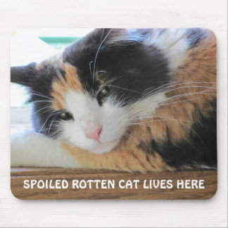 Spoiled rotten cat lives here mouse pad