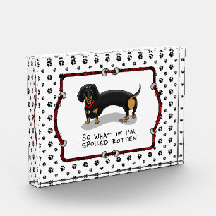 Spoiled Rotten Dachshund Dog (S black & tan) Cute Acrylic Award