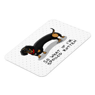 Spoiled Rotten Dachshund Dog (S black & tan) Cute Magnet