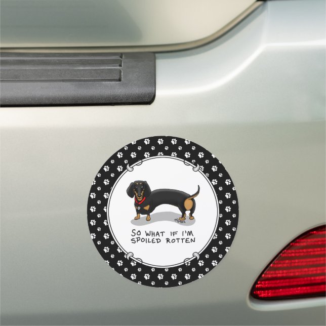 Spoiled Rotten Dachshund (S black & tan) Cute dog Car Magnet (In Situ)