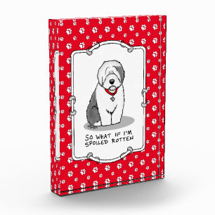 Spoiled Rotten Old English Sheepdog (Gray 1) Funny Acrylic Award