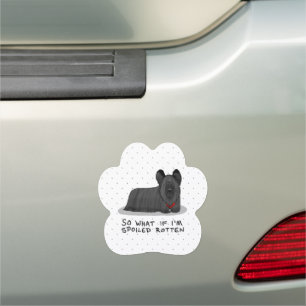 Spoiled Rotten Skye Terrier Dog (black) Cute Funny Car Magnet