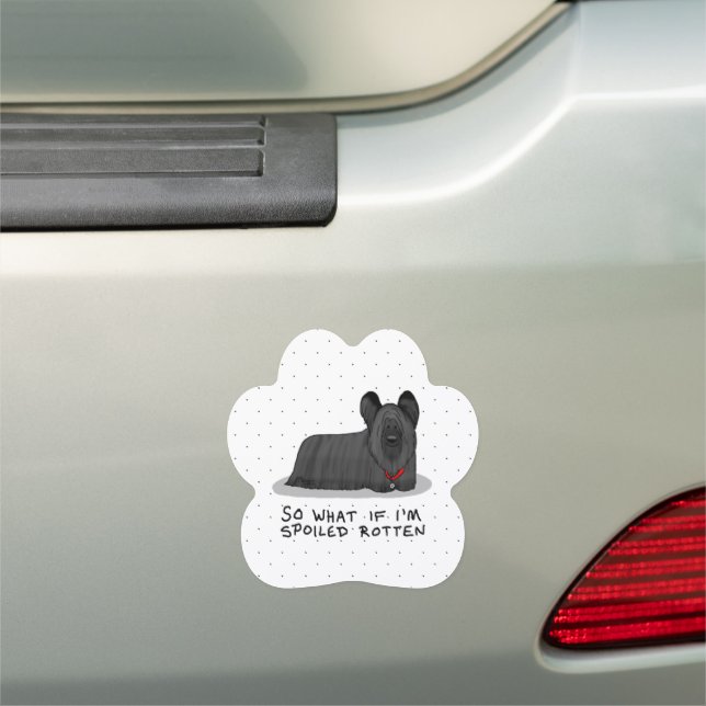 Spoiled Rotten Skye Terrier Dog (black) Cute Funny Car Magnet (In Situ)